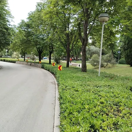 Of Music - In The Center Of Apartment *